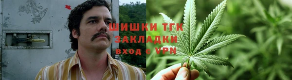 прущие крисы Алзамай