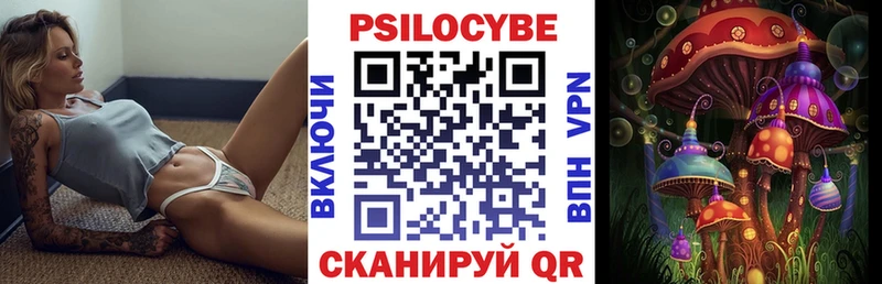 купить наркотики цена  Черемхово  Псилоцибиновые грибы Psilocybine cubensis 