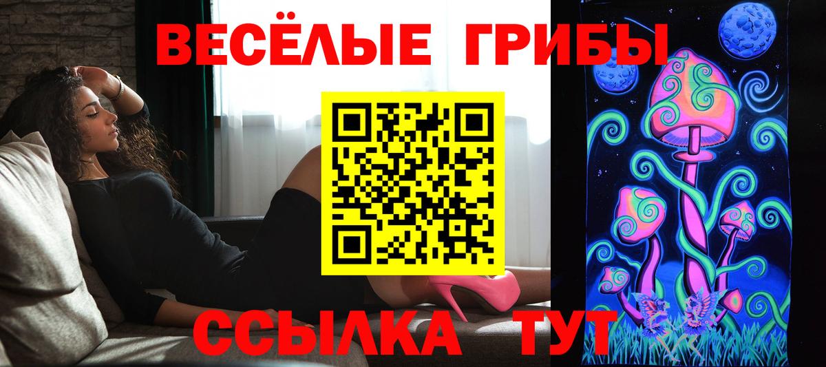Псилоцибиновые грибы Cubensis  Вход с VPN  Черемхово  Галлюциногенные грибы MAGIC MUSHROOMS 
